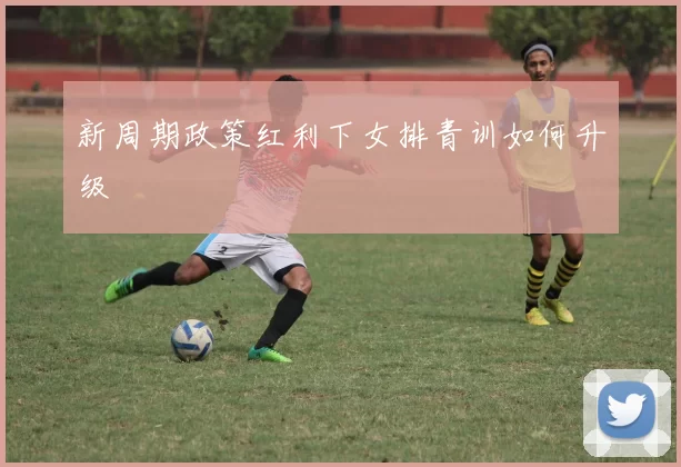 新周期政策红利下女排青训如何升级